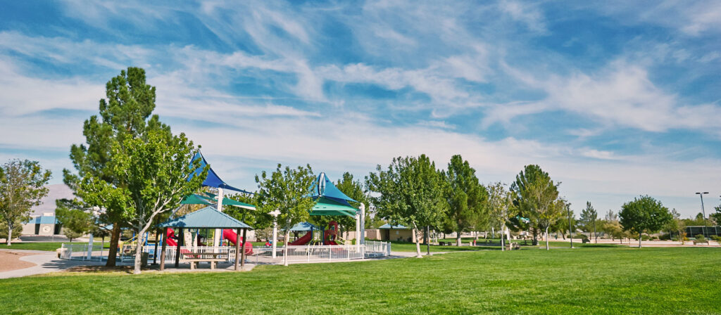Spotlight on Spring Valley