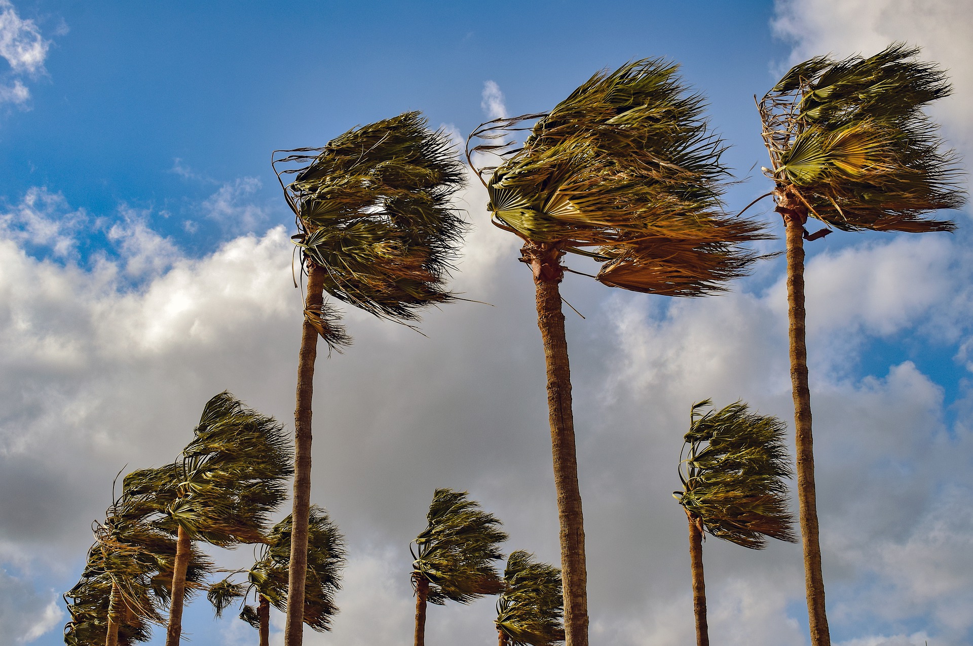Windy Weather Forecast for March 27-28 in Las Vegas